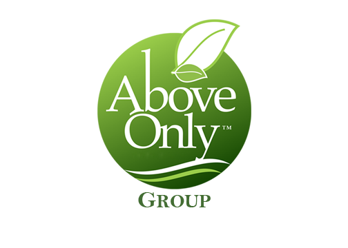 Above Only Group